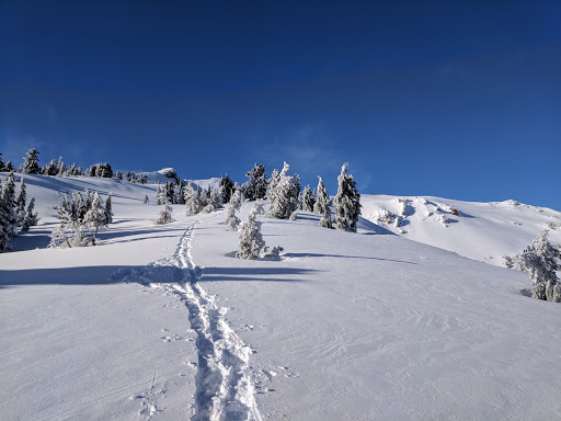 National Forest «Umpqua National Forest», reviews and photos, 1121 Houser Ct, Idleyld Park, OR 97447, USA