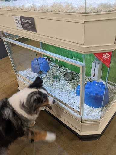 Pet Supply Store «PetSmart», reviews and photos, 2135 NJ-38 Ste B, Cherry Hill, NJ 08002, USA