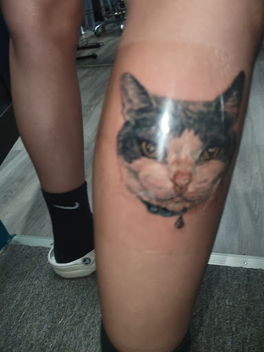 Tattoo Shop «Etched In Skin LLC», reviews and photos, 8356 S Pulaski Rd, Chicago, IL 60652, USA