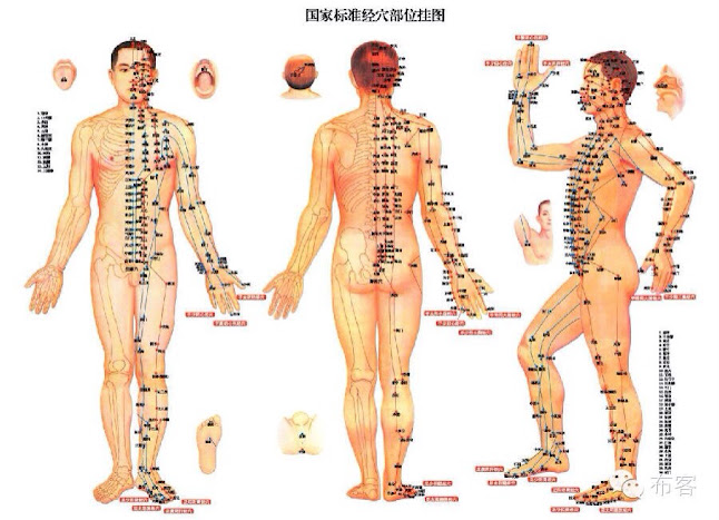 Acupuncture & Chinese Medicine Centre - Doctor
