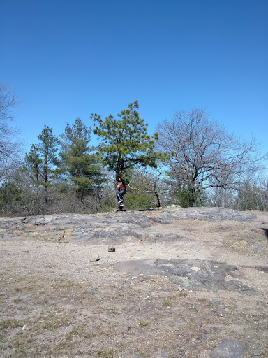 Observatory «Blue Hill Observatory Science Center Inc», reviews and photos, 1 Observatory Service Rd, Milton, MA 02186, USA