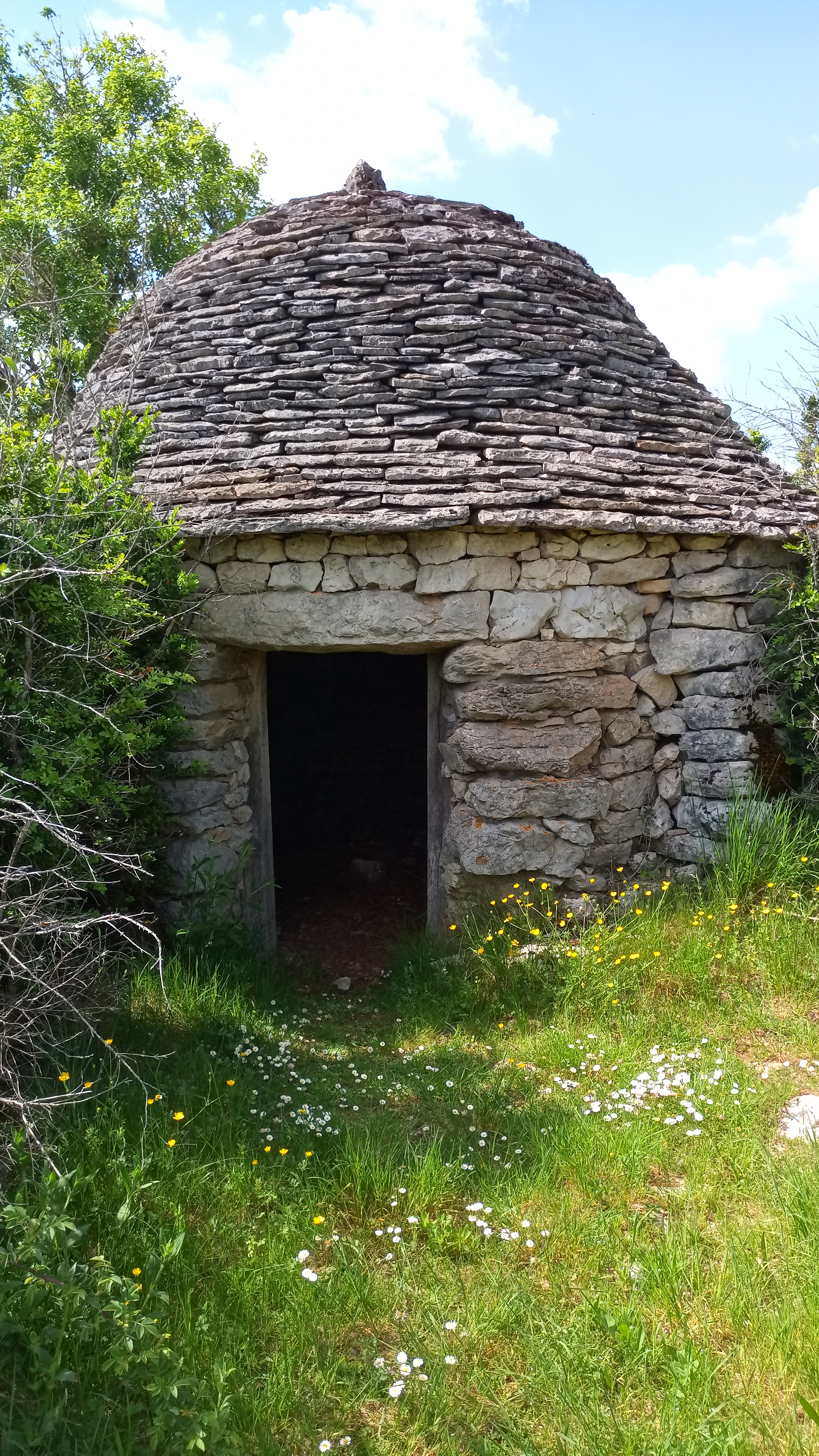 Photo n° 6 de l'avis de jean-françois.4 fait le 01/05/2022 à 15:48
