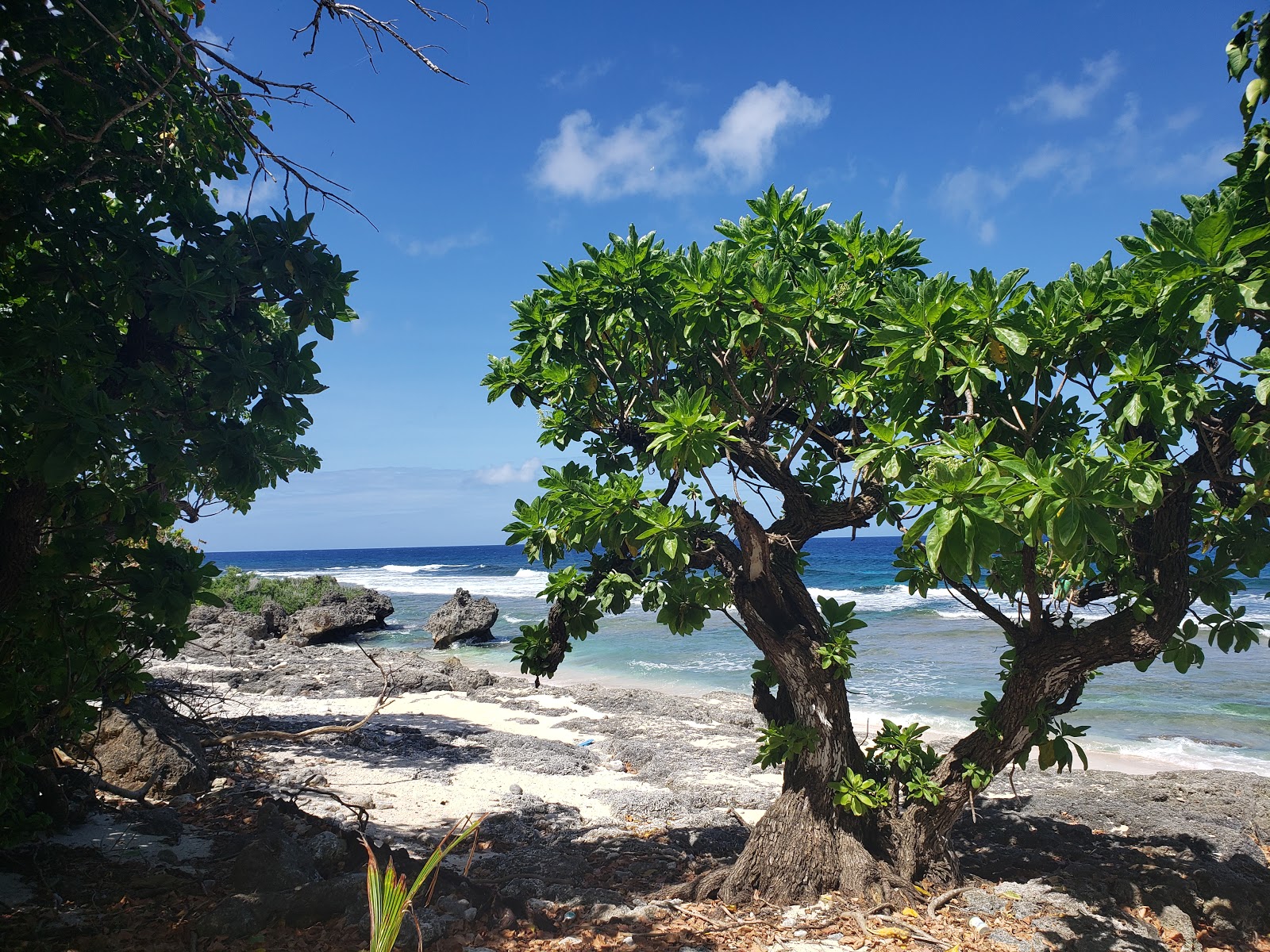 Marine Beach的照片 具有非常干净级别的清洁度