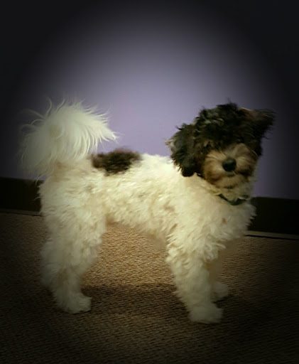 Optometrist «Optique», reviews and photos, 2817 West End Ave #117, Nashville, TN 37203, USA