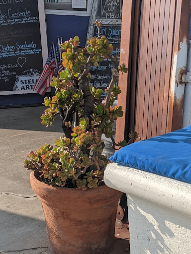 Grocery Store «Corner Store», reviews and photos, 1118 W 37th St, San Pedro, CA 90731, USA