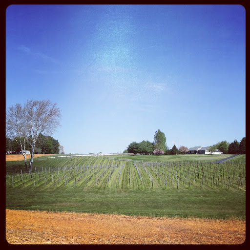 Winery «Harford Vineyard & Winery», reviews and photos, 1311 W Jarrettsville Rd, Forest Hill, MD 21050, USA