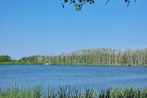 Lake Plazė image
