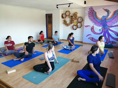 Índigo Yoga Estudio Holístico - Cl 46, Cl. 45 #50-37 bloque 5 local 301, Rionegro, Antioquia, Colombia
