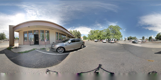 Explore celtic sleeve tattoo ideas, creative tattoo ideas in Loveland, available at NoCo Studio