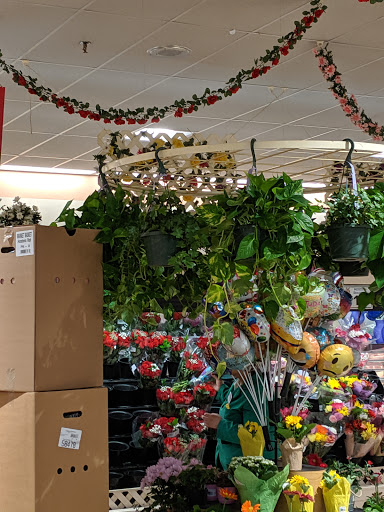 Grocery Store «Market Basket», reviews and photos, 350 Winthrop Ave, North Andover, MA 01845, USA