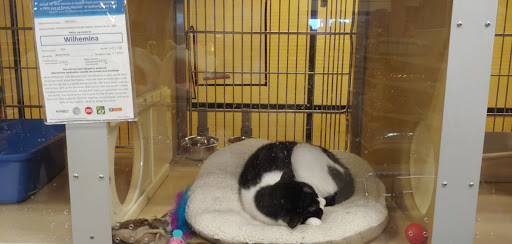 Pet Supply Store «PetSmart», reviews and photos, 2028 Miamisburg Centerville Rd, Dayton, OH 45459, USA