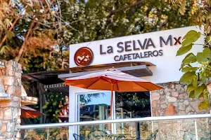 La SELVA Mx Cafetaleros image