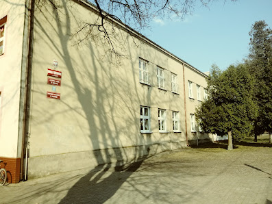 Szkoła Podstawowa im. Powstańców Styczniowych w Brdowie A. Mickiewicza 8, 62-620 Babiak, Polska