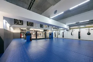 Reinders MMA image