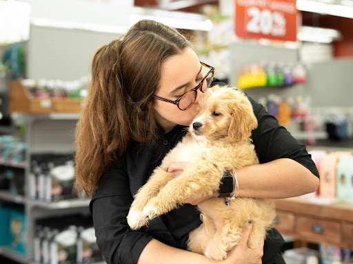 Pet Adoption Service «Petland Davie», reviews and photos, 11482 W State Rd 84, Davie, FL 33325, USA