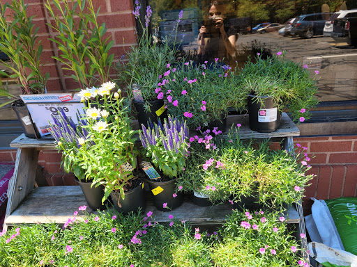 Supermarket «Big Y», reviews and photos, 141 Storrs Rd, Mansfield Center, CT 06250, USA