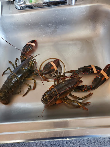 Casino «Hampton Beach Casino», reviews and photos, 169 Ocean Blvd, Hampton, NH 03842, USA