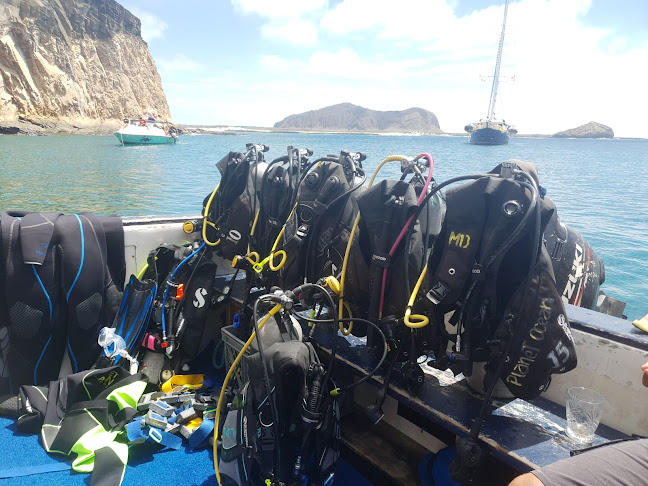 Opiniones de Planet Ocean Galapagos en Baquerizo Moreno - Agencia de viajes