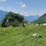 Photo n°5 de l'avis de Valentina.a fait le 21/06/2023 à 20:02 sur le  Malga Bovental à Vallarsa