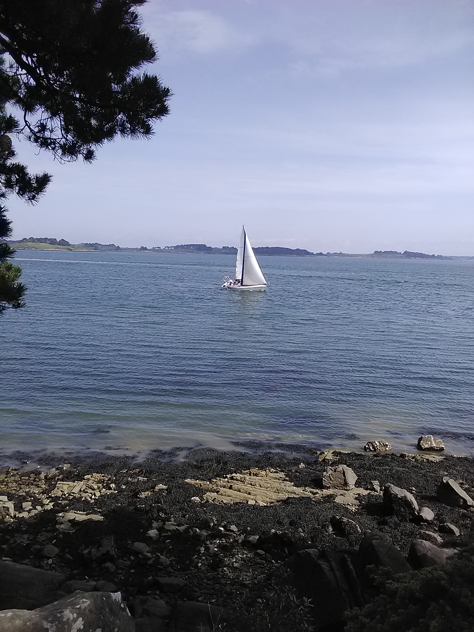 Photo n° 3 de l'avis de Stéphane. fait le 29/04/2018 à 15:03