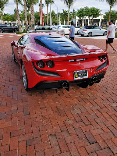 Honda Dealer «Honda of Fort Myers», reviews and photos, 14020 S Tamiami Trail, Fort Myers, FL 33912, USA