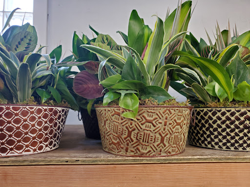 Florist «Sieck-Wright Floral Products», reviews and photos, 231 Monmouth St, Hightstown, NJ 08520, USA