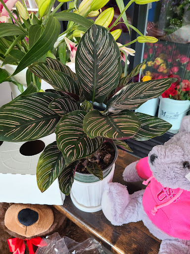 Florist «C & J Florist», reviews and photos, 400 NJ-73, Berlin, NJ 08009, USA