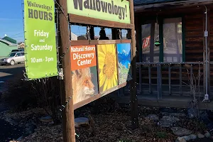 Wallowology Natural History Discovery Center image