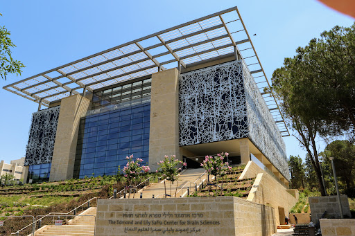 Edmond & Lily Safra Center for Brain Sciences מדעי המוח האוניברסיטה העברית