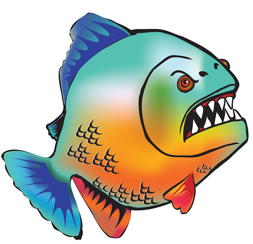 Aquarium «Beltway Aquarium», reviews and photos, 3306 Crain Hwy, Waldorf, MD 20603, USA