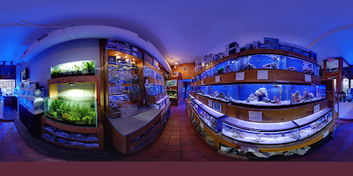 Tropical Fish Store «House of Fins», reviews and photos, 99 Bruce Park Ave, Greenwich, CT 06830, USA