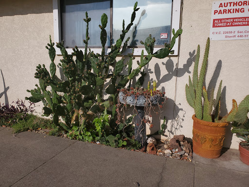 Self-Storage Facility «Tiger Self Storage», reviews and photos, 9609 Oates Dr, Sacramento, CA 95827, USA