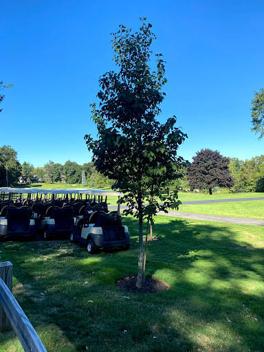 Golf Club «Bellevue Golf Club», reviews and photos, 320 Porter St, Melrose, MA 02176, USA