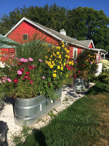 Grocery Store «Katama General Store», reviews and photos, 170 Katama Rd, Edgartown, MA 02539, USA