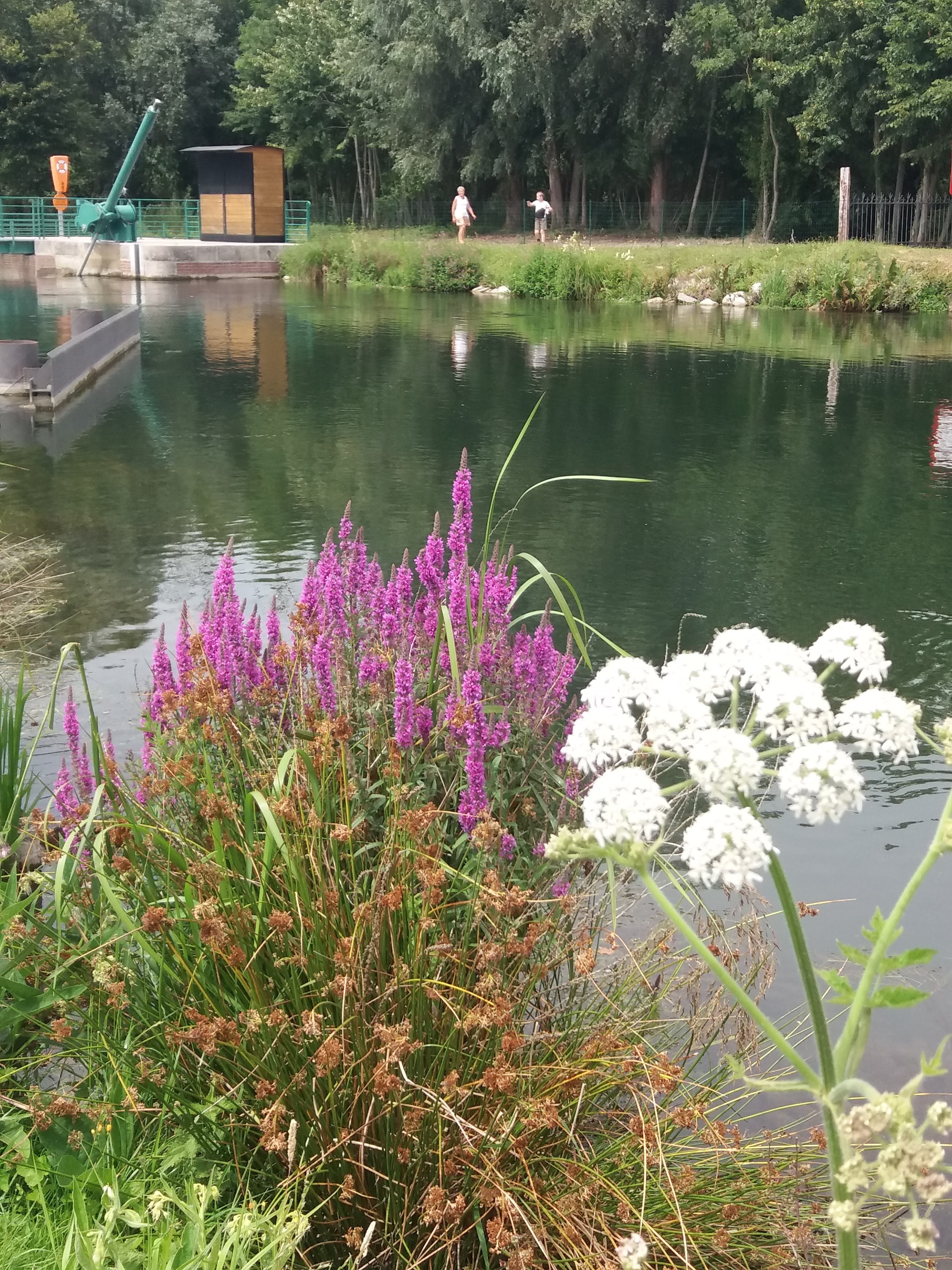 Photo n° 2 de l'avis de gerard.e fait le 23/07/2020 à 13:34