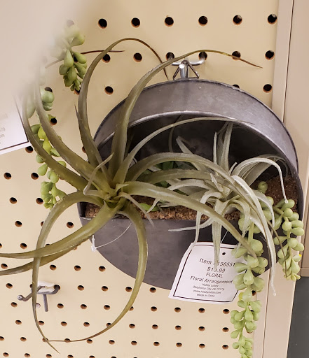 Craft Store «Hobby Lobby», reviews and photos, 7201 Shoppes Dr #101, Melbourne, FL 32940, USA