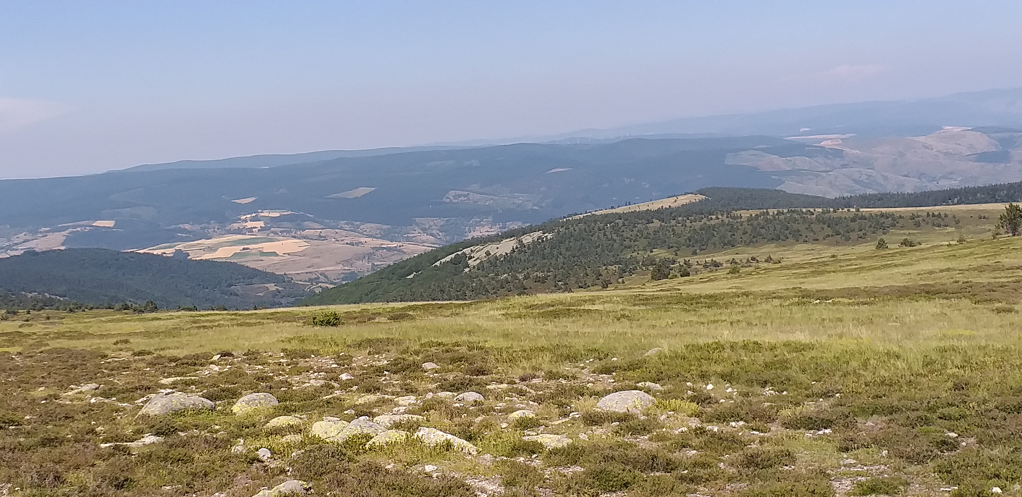 Photo n° 5 de l'avis de Philippe.o fait le 25/07/2019 à 18:15
