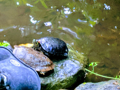 Animal Protection Organization «Butterfly Pavilion», reviews and photos, 6252 W 104th Ave, Westminster, CO 80020, USA