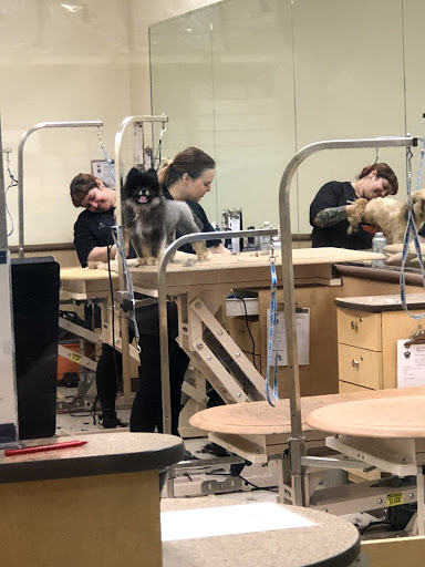 Pet Supply Store «PetSmart», reviews and photos, 26532 Towne Centre Dr, Foothill Ranch, CA 92610, USA