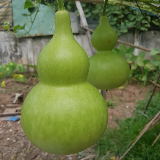 Top 13 cửa hàng kim giáp Huyện Trà Ôn Vĩnh Long 2022