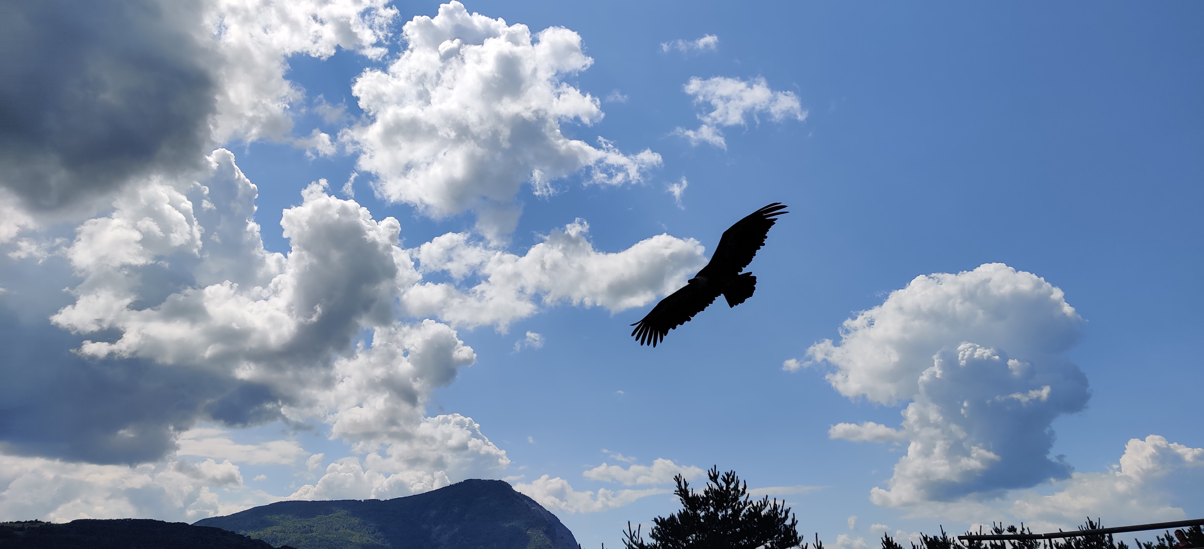 Photo n° 6 de l'avis de Carole. fait le 25/08/2021 à 16:01