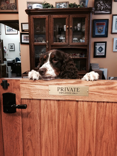 Gift Shop «Impressions of Saratoga», reviews and photos, 368 Broadway, Saratoga Springs, NY 12866, USA