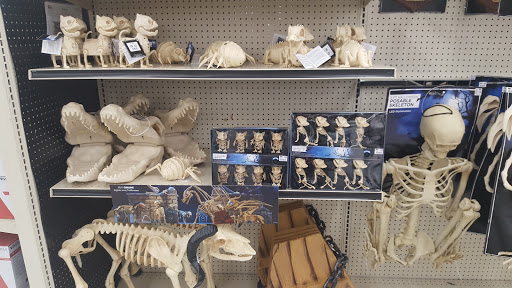 Discount Store «Big Lots», reviews and photos, 27816 TX-249BUS, Tomball, TX 77375, USA