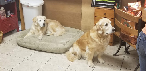 Pet Store «Animal Outfitters», reviews and photos, 661 S Military Rd, Fond du Lac, WI 54935, USA