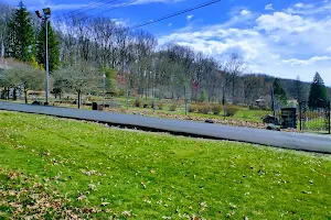 McKeesport Arboretum image