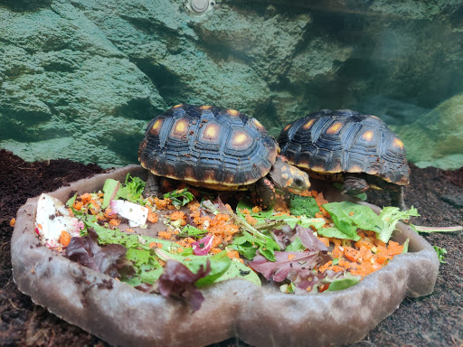 Pet Supply Store «Petco Animal Supplies», reviews and photos, 390 Universal Dr N, North Haven, CT 06473, USA