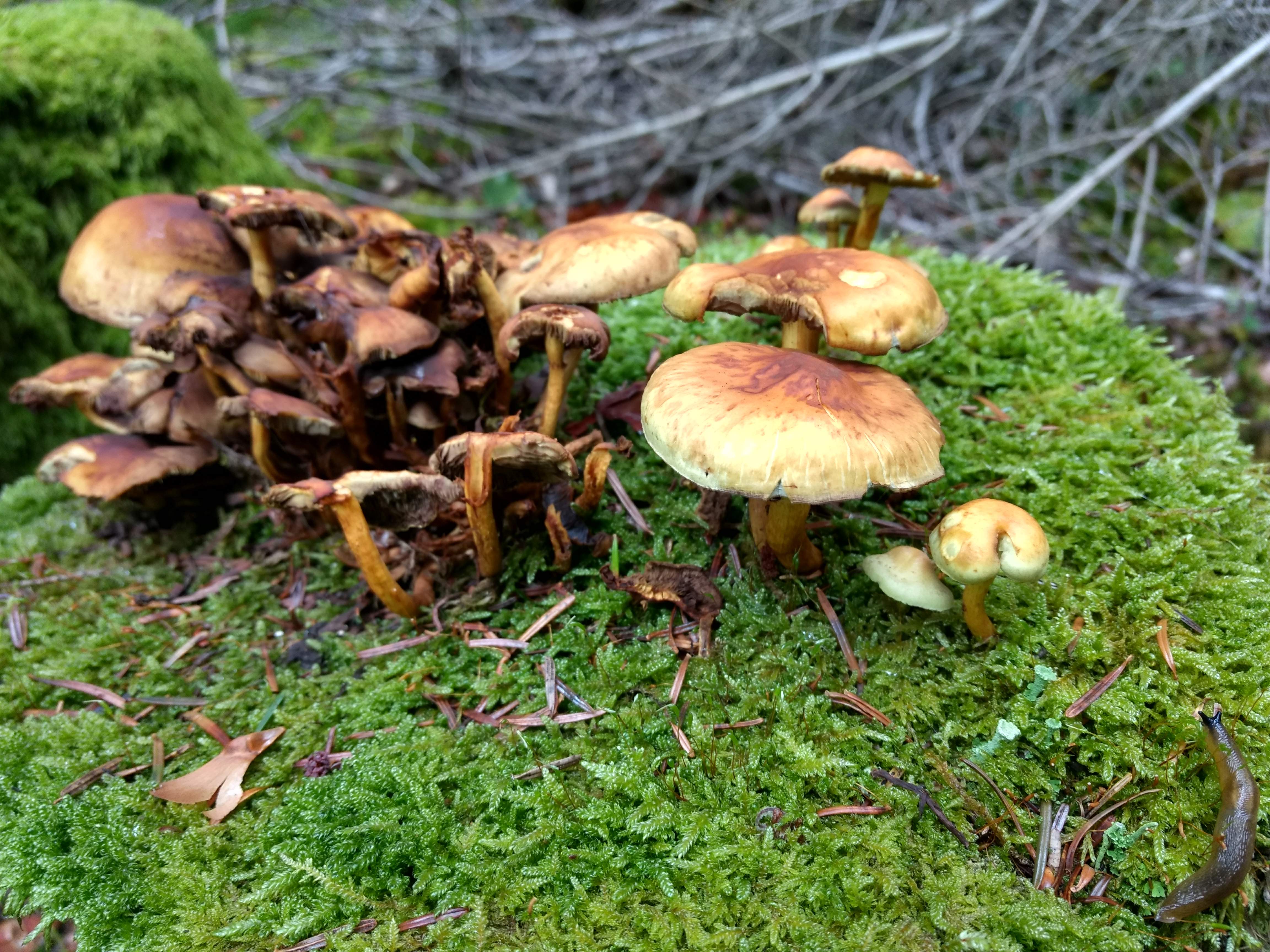 Photo n° 3 de l'avis de Elie.u fait le 20/10/2020 à 13:51