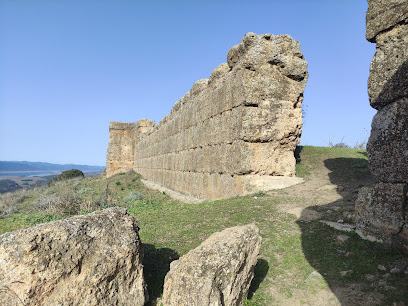 Castillo del Vacar
