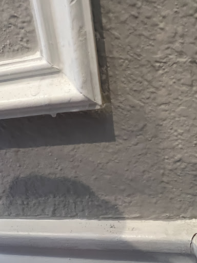 Painter «Fresh Coat Painters of Allen / McKinney», reviews and photos, 906 W McDermott Dr #116, Allen, TX 75013, USA