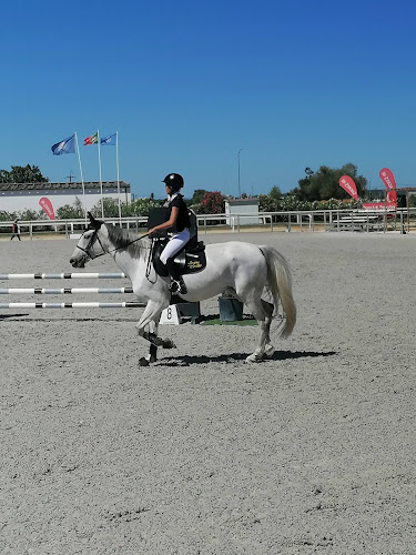 Comentários e avaliações sobre o Centro Equestre Internacional de Alfeizerão (CEIA)